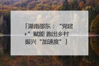 湖南邵东：“党建+”赋能 跑出乡村振兴“加速度”