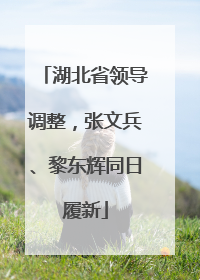 湖北省领导调整，张文兵、黎东辉同日履新