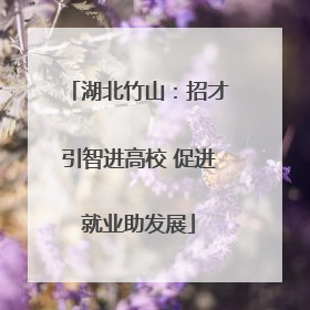 湖北竹山：招才引智进高校 促进就业助发展