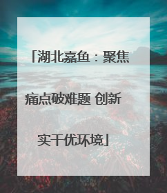 湖北嘉鱼：聚焦痛点破难题 创新实干优环境