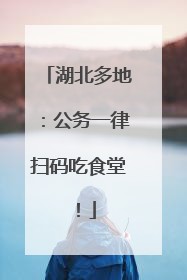 湖北多地：公务一律扫码吃食堂！