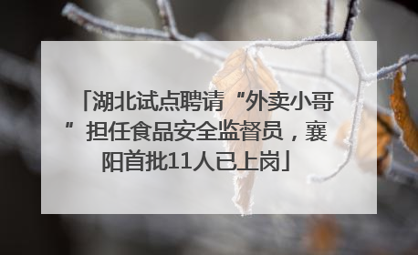 湖北试点聘请“外卖小哥”担任食品安全监督员，襄阳首批11人已上岗