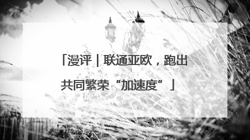 漫评｜联通亚欧，跑出共同繁荣“加速度”