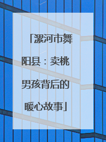 漯河市舞阳县：卖桃男孩背后的暖心故事