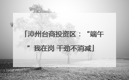 漳州台商投资区：“端午”我在岗 干劲不消减