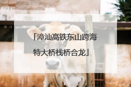 漳汕高铁东山跨海特大桥栈桥合龙