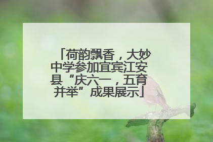 荷韵飘香，大妙中学参加宜宾江安县“庆六一，五育并举”成果展示