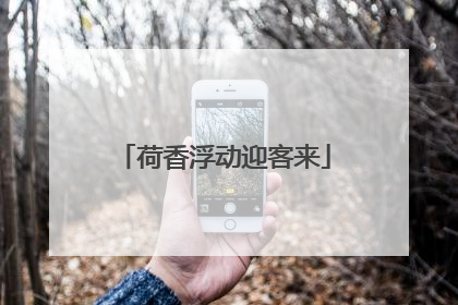 荷香浮动迎客来