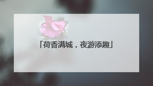 荷香满城，夜游添趣