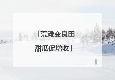 荒滩变良田 甜瓜促增收