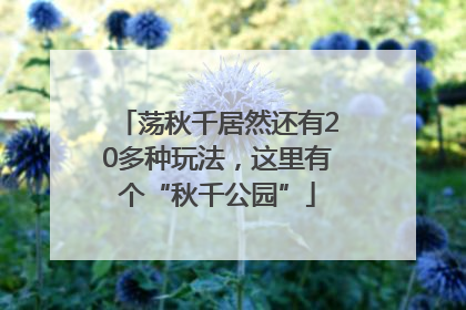 荡秋千居然还有20多种玩法，这里有个“秋千公园”