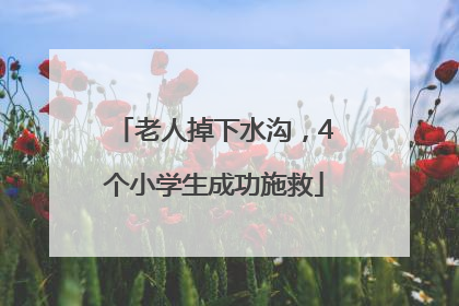 老人掉下水沟，4个小学生成功施救