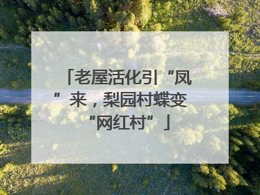 老屋活化引“凤”来，梨园村蝶变“网红村”