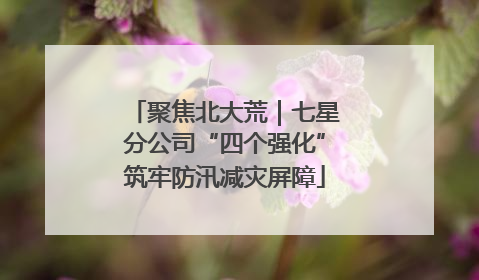 聚焦北大荒｜七星分公司“四个强化”筑牢防汛减灾屏障