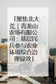 聚焦北大荒｜青龙山农场有限公司：基层民兵参与农业环境综合治理显效