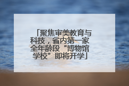聚焦审美教育与科技，省内第一家全年龄段“博物馆学校”即将开学
