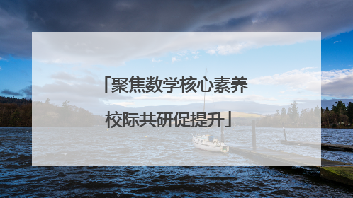 聚焦数学核心素养 校际共研促提升