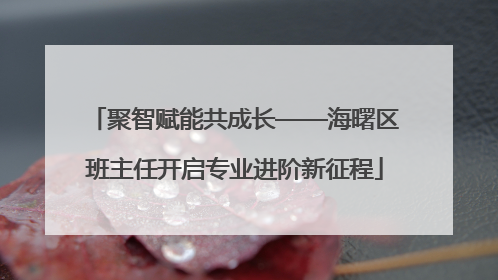 聚智赋能共成长——海曙区班主任开启专业进阶新征程