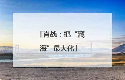 肖战：把“藏海”最大化