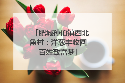 肥城孙伯镇西北角村：洋葱丰收圆百姓致富梦