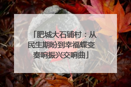 肥城大石铺村：从民生期盼到幸福蝶变奏响振兴交响曲