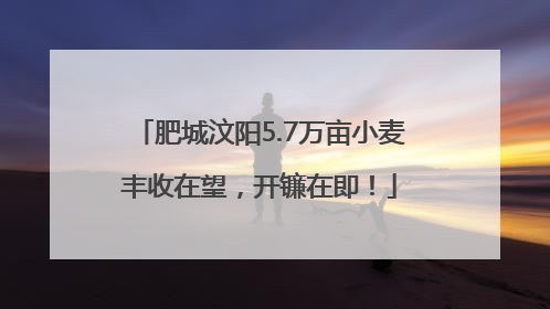 肥城汶阳5.7万亩小麦丰收在望，开镰在即！