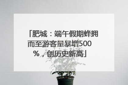 肥城：端午假期蜂拥而至游客量暴增500%，创历史新高