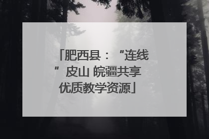 肥西县：“连线”皮山 皖疆共享优质教学资源