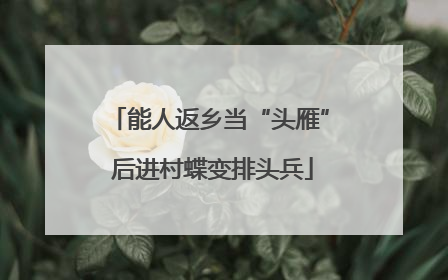 能人返乡当“头雁” 后进村蝶变排头兵