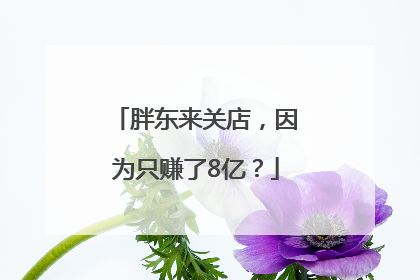 胖东来关店，因为只赚了8亿？