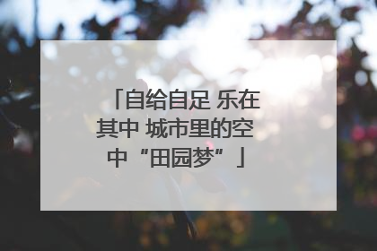 自给自足 乐在其中 城市里的空中“田园梦”