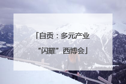 自贡：多元产业“闪耀”西博会