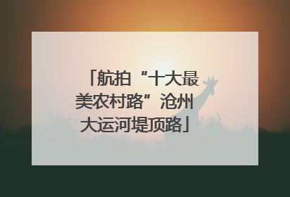 航拍“十大最美农村路”沧州大运河堤顶路