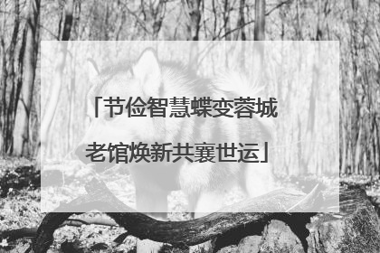 节俭智慧蝶变蓉城 老馆焕新共襄世运