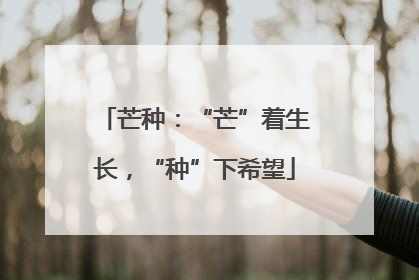 芒种：“芒”着生长，“种”下希望