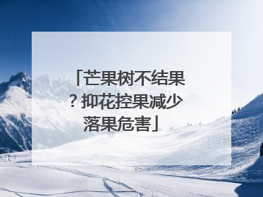 芒果树不结果？抑花控果减少落果危害
