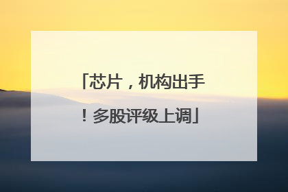 芯片，机构出手！多股评级上调