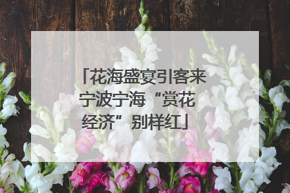 花海盛宴引客来 宁波宁海“赏花经济”别样红
