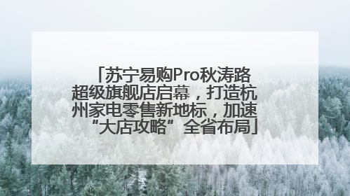 苏宁易购Pro秋涛路超级旗舰店启幕，打造杭州家电零售新地标，加速“大店攻略”全省布局