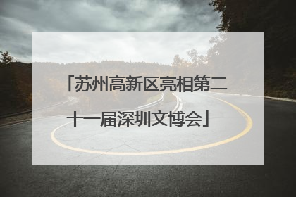 苏州高新区亮相第二十一届深圳文博会