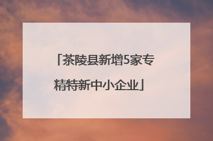 茶陵县新增5家专精特新中小企业
