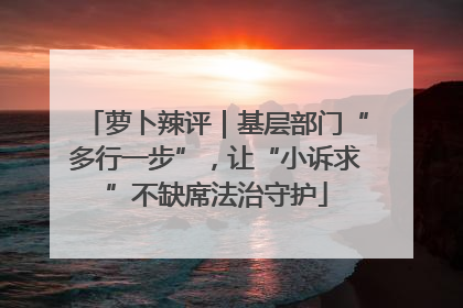 萝卜辣评｜基层部门“多行一步”，让“小诉求”不缺席法治守护