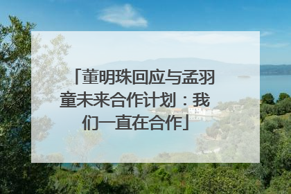 董明珠回应与孟羽童未来合作计划：我们一直在合作