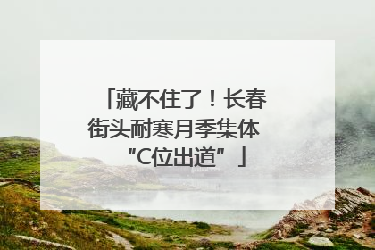 藏不住了！长春街头耐寒月季集体“C位出道”