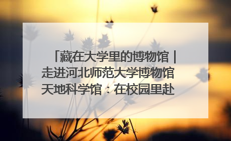 藏在大学里的博物馆｜走进河北师范大学博物馆天地科学馆：在校园里赴一场“宇宙之约”