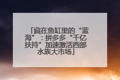 藏在鱼缸里的“蓝海”：拼多多“千亿扶持”加速激活西部水族大市场