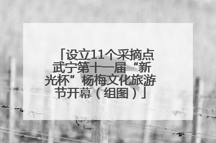 设立11个采摘点 武宁第十一届“新光杯”杨梅文化旅游节开幕（组图）
