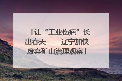 让“工业伤疤”长出春天——辽宁加快废弃矿山治理观察