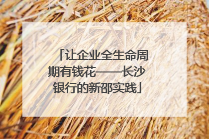 让企业全生命周期有钱花——长沙银行的新邵实践
