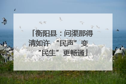 衡阳县：问渠那得清如许 “民声”变“民生”更畅通
